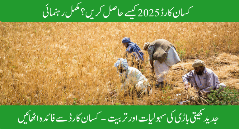 Step-by-Step Guide to Get Your Punjab Kisan Card 2025